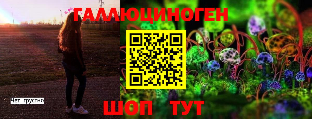 Галлюциногенные грибы Magic Shrooms  Вход с VPN  Псилоцибиновые грибы мицелий  Мытищи 